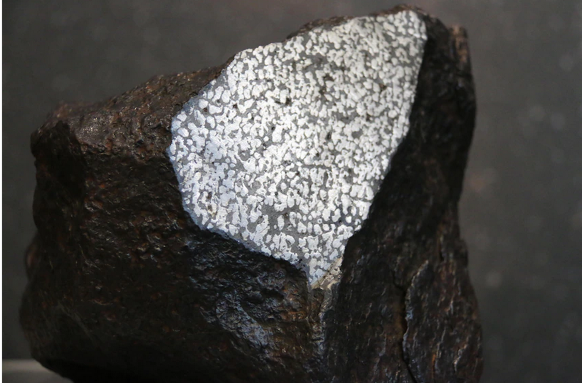 Rare meteorite found by gold fossickers sold to Geoscience Australia